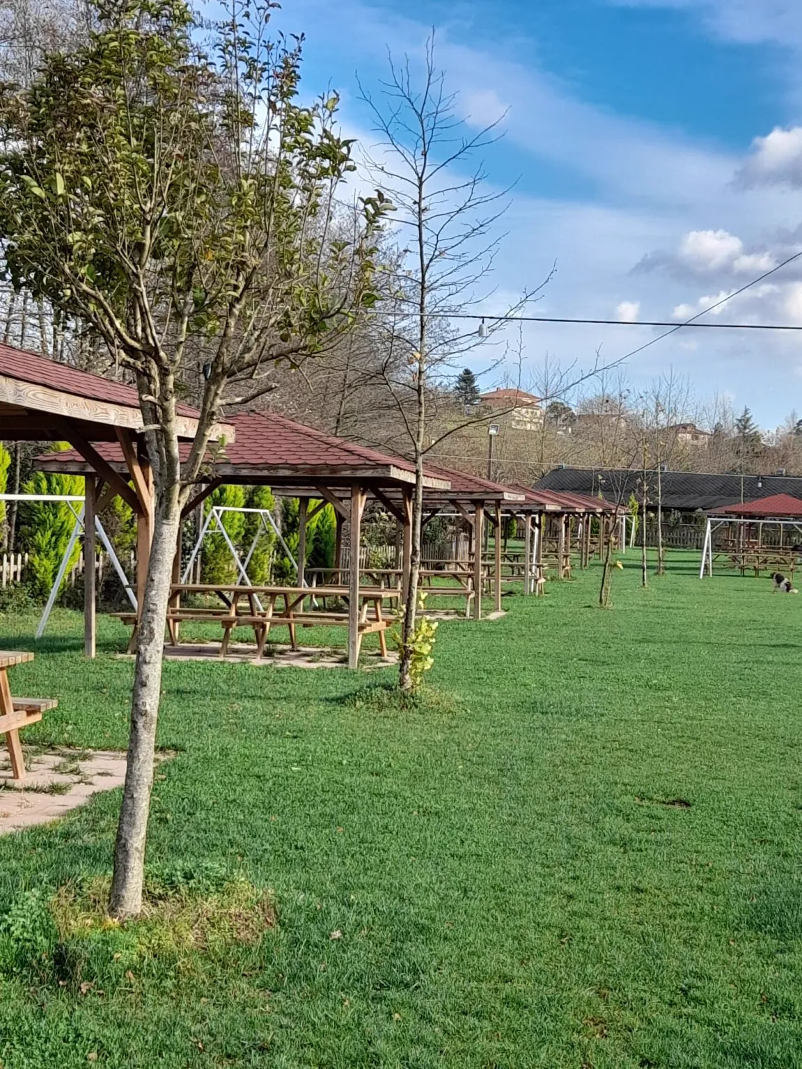 Hüner Park doğa